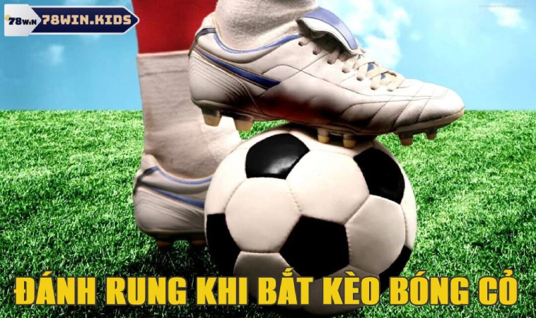 Bóng Cỏ Là Gì? Bí Kíp Cá Độ Thắng Lớn Từ Cao Thủ 3 Áp dụng đánh rung cho các trận đấu cỏ