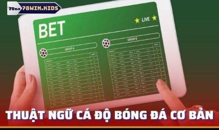 Top 9+ Thuật Ngữ Cá Cược Bóng Đá Phổ Biến Bạn Nên Biết 3 Khái niệm cơ bản trong cá cược thể thao sân cỏ