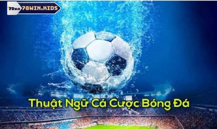 Top 9+ Thuật Ngữ Cá Cược Bóng Đá Phổ Biến Bạn Nên Biết 1 Thuật ngữ cá độ bóng đá có vai trò quan trọng với game thủ
