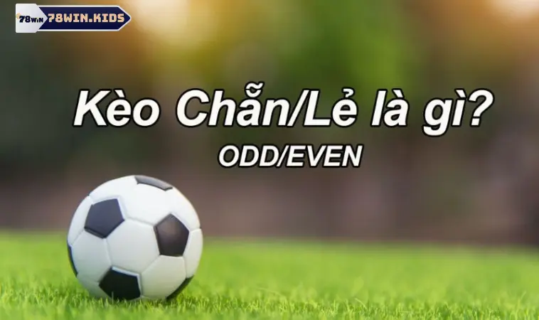Kèo Lẻ Chẵn là gì? Kèo Lẻ Chẵn là gì?